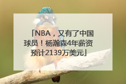 NBA，又有了中国球员！杨瀚森4年薪资预计2139万美元